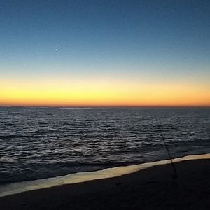 Meet your Posher, Cate